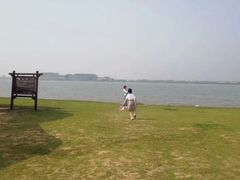 -金沙湖旅游度假区