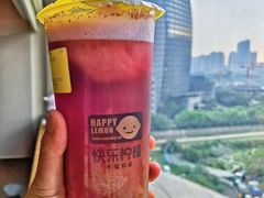 -快乐柠檬happylemon(日月光店)