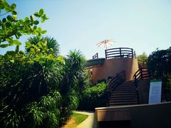 android_upload_pic-三亚亚龙湾红树林度假酒店