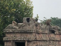 -南昌动物园