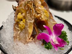 -海月轩海鲜豆捞(紫金塔店)