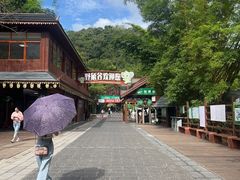 -野象谷景区