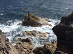 -龙坑生态保护区