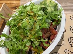 -油梨树 AVOCADO TREE(亮马桥店)
