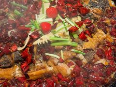 -老板恋上鱼(恒隆广场店)