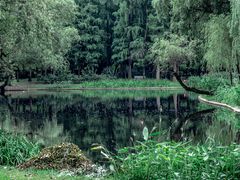 -上海共青森林公园