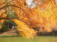 -华南国家植物园-售票处