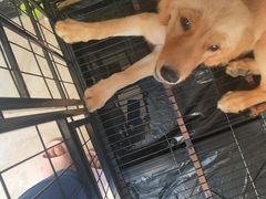 -佳雯宠物医院(四明中路分院)