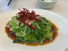 罗马生菜-船歌·鱼水饺青岛菜(国贸商城店)