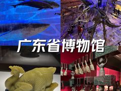-广东省博物馆