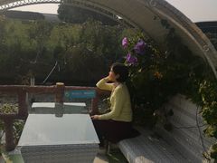 -百万葵园