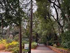 -井之头恩赐公园