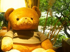 -咖法森林·咖啡  酒吧(天河店)