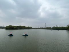 -昆山城市生态森林公园