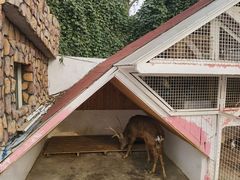 -J Create城市露营咖啡·简餐·宠物(上海动物园店)