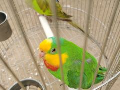 -南宫五洲植物乐园