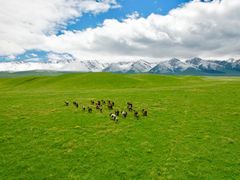 -新疆那拉提国家旅游度假区