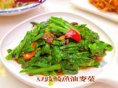 豆豉鲮鱼油麦菜-天天初二·天津传统捞面·天津特色菜(凌奥总店)