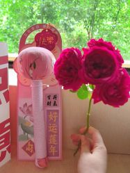 -安琪朵朵独栋花园月子中心