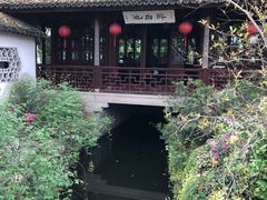 -上海醉白池公园