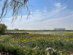 -天津东丽湖风景区