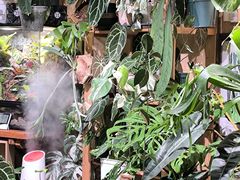 -Rabbit Cafe私房西餐甜点咖啡(栖霞路店)