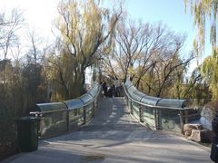 -迎泽公园