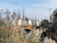 -上海长兴岛郊野公园