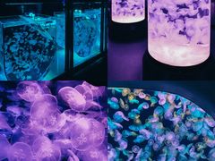 -海合安天津极地海洋公园