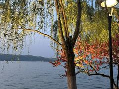 -湖畔居茶楼(湖滨店)