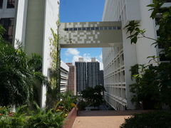 -香港大学