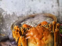 -威邵鸡煲(西华路总店)