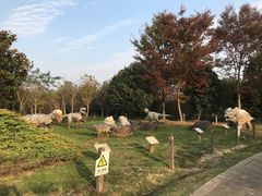 -上海海湾国家森林公园