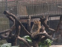 -深圳野生动物园