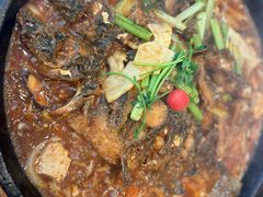 -老板恋上鱼(恒隆广场店)