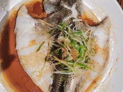 清蒸鲈鱼-YAFEE雅菲·粤菜·湘菜·融合菜(魏公村店)