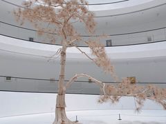 -上海宝龙美术馆