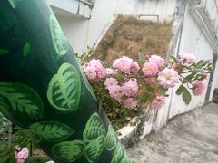 -三溪村