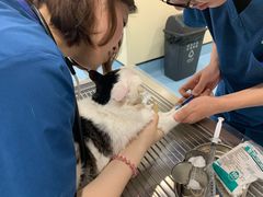 -萌兽医馆·犬猫专科·眼科中心·宠物医院(朝阳门分院)
