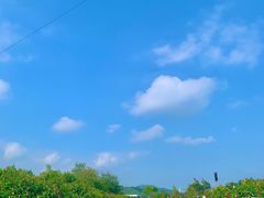-大连铭湖国际观光牧场