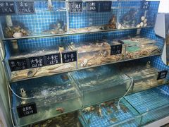 -北戴河庆山饭店·海鲜砂锅粥(北戴河黑石路店)