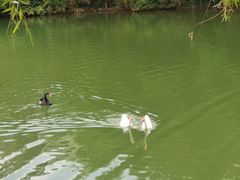 -中海·庐山西海君澜度假酒店·味屿全日制餐厅