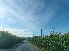 -凤凰山国家森林公园