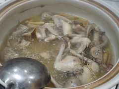 -鸽鸟轩(石岐店)