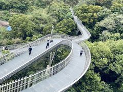 -福道