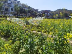 -红山村