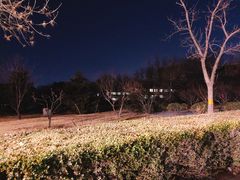 -北大佟园(北京大学店)