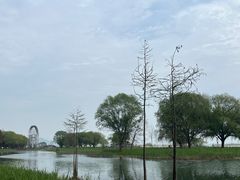 -太湖湖滨国家湿地公园-停车场