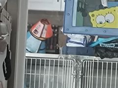 -恒幸动物医院·急重症转诊中心·神经内外科·CT核磁
