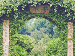 -南山植物园